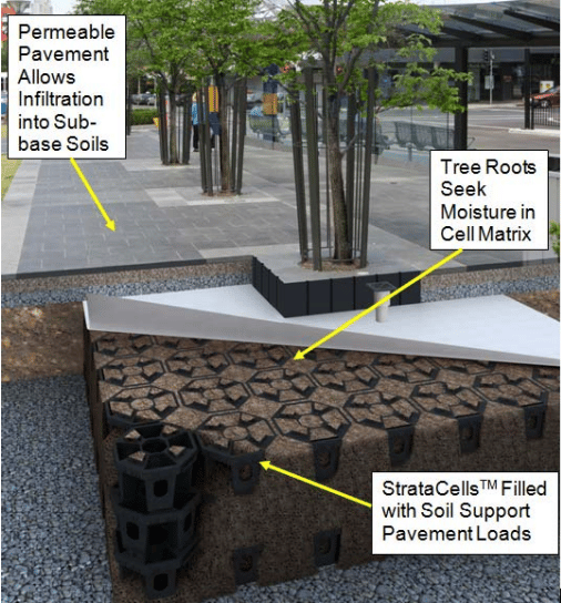 Trees as essential infrastructure: Engineering and design ...