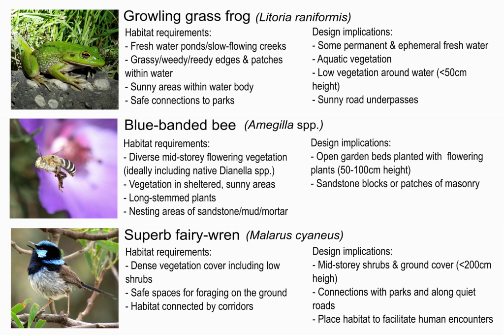 Integrating biodiversity sensitive urban design (BSUD) into urban ...